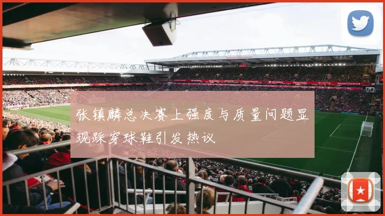 张镇麟总决赛上强度与质量问题显现踩穿球鞋引发热议